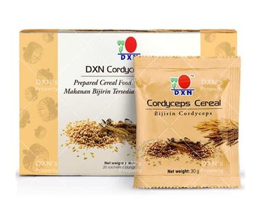 Cordyceps