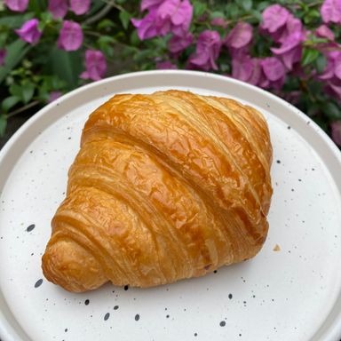 Plain Croissant 