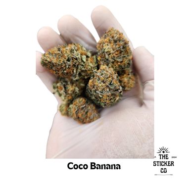 Sticker + free G of Coco Banana