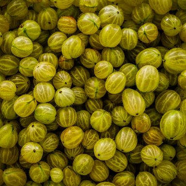 Gooseberries