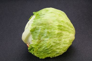 Lettuce Iceberg