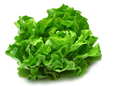 Lettuce 