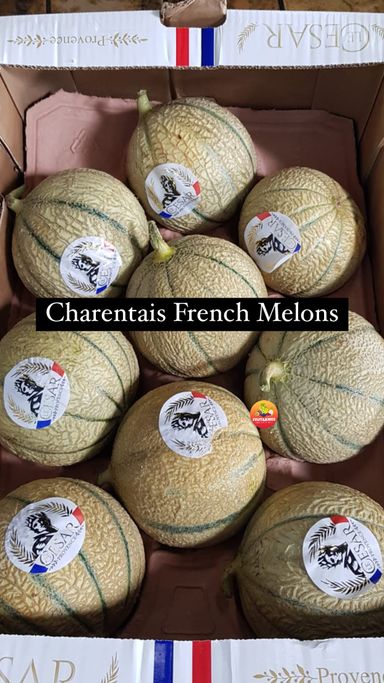 FRANCE CHARENTAIS MELON