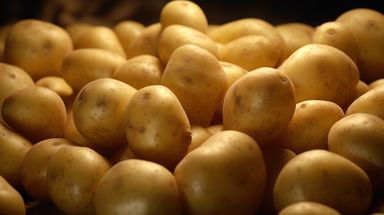 Potatoes, Sifra