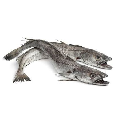 Hake | 10kg