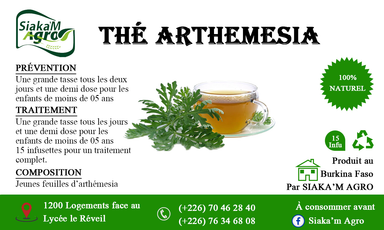 THE ARTHEMESIA