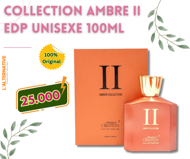 Amazing Collection Ambre II, Unisexe, EDP, 100 ML