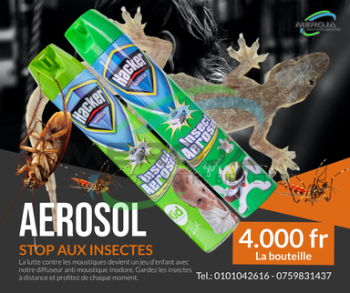 Aérosol 750ml