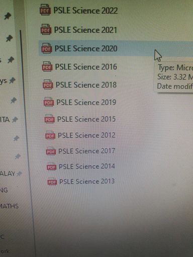 DIGITAL COPY- PSLE PAST PAPERS