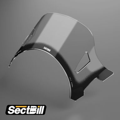 Sport Scren Vespa LX