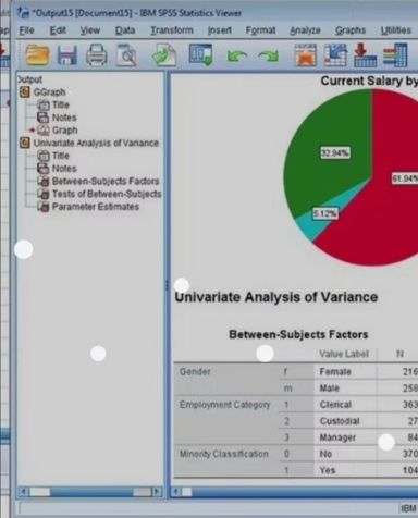 Licence du logiciel SPSS 