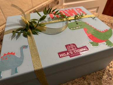 Surprise Gift Box - 🦕 Dinosaur