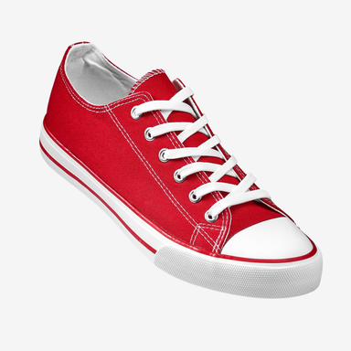 Unisex Trendi Canvas Sneaker