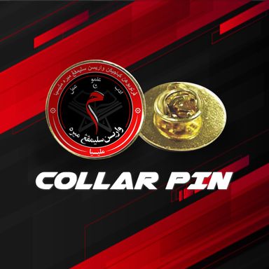 COLLAR PIN