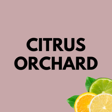 CITRUS ORCHARD