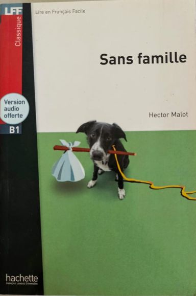 Sans Famille (H. Malot) - 6ieme