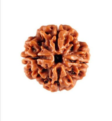 Rudraksha beads 