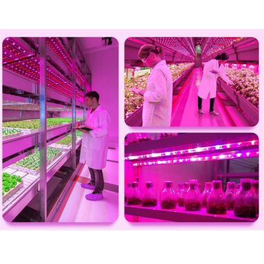 Hello Today HD-FLD080W 1000Watt LED Plant Grow Light Panel For Indoor Hydroponic Flower Growth