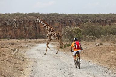 Hell's Gate Biking Safari