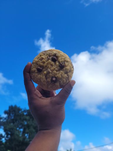 Oatmeal chocolate chip 