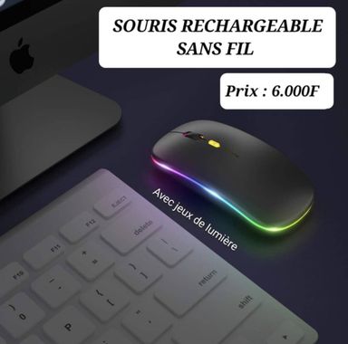 SOURIS BLUETOOTH SANS FIL RECHARGEABLE 