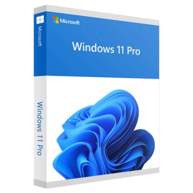 Windows 11 Professional Retail Key