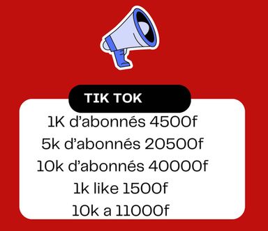 VUE TIK TOK 