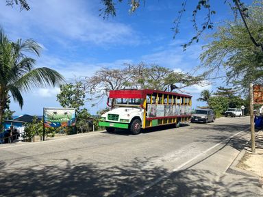 Vuelta a la isla en chiva 