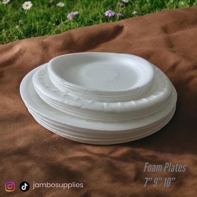 Foam Plate