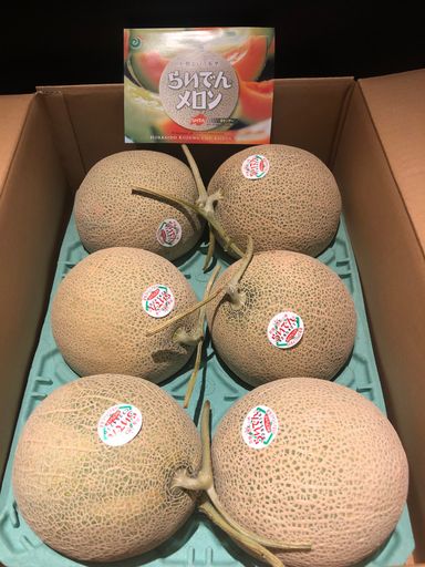 JPN HOKKAIDO RED-FLESHED MELON
