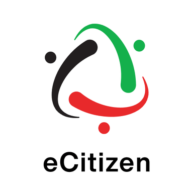 E-citizen services