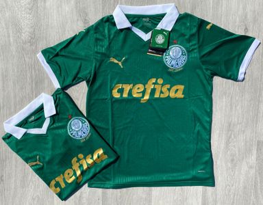 Camiseta Palmeiras