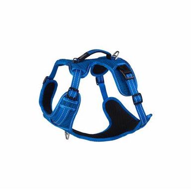 ROGZ UTILITY EXPLORE HARNESS MEDIUM BLUE