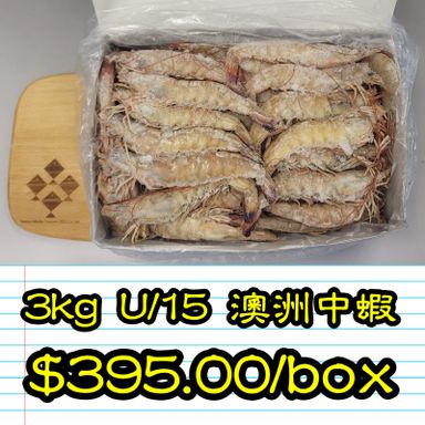 3kg U/15 澳洲中蝦