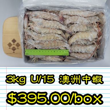3kg U/15 澳洲中蝦