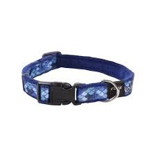 ROGZ  FASHION CLASSIC COLLAR MEDIUM AMPHIBIAN BLUE