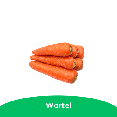 Wortel 