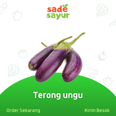 Terong ungu