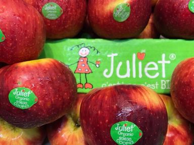 Organic France Juliet Apple 