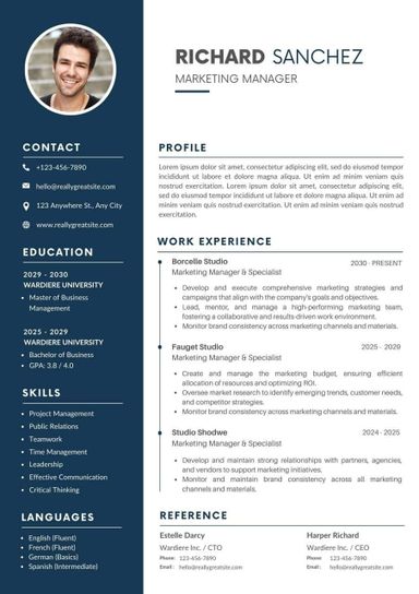 Professional CV