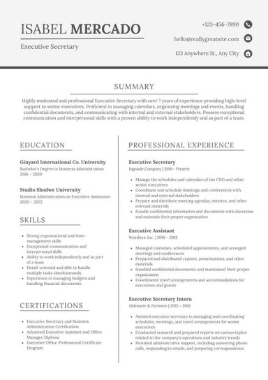 Professional CV