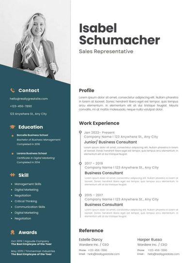 Professional CV