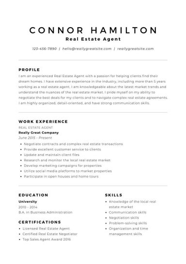 Professional CV