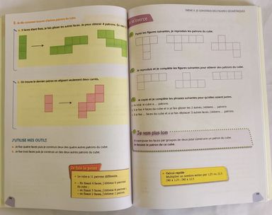 MATHÉMATIQUES CM2 (Editions Eburnie) - CM2