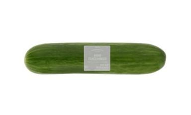 PnP Mini Cucumber 