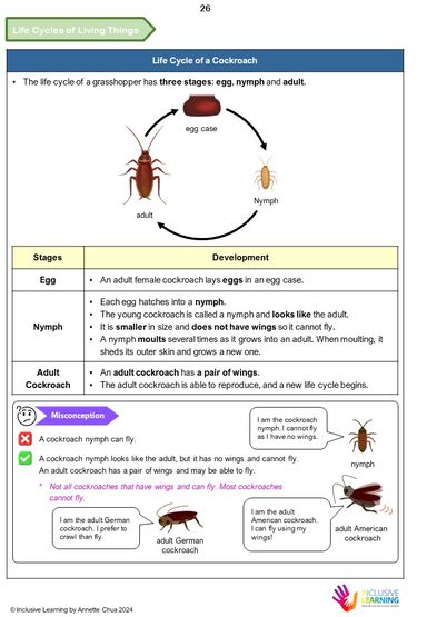 Primary 3 Science Notes