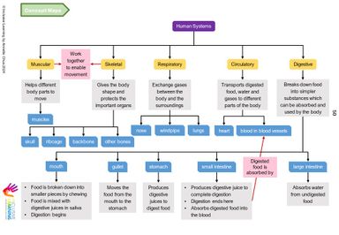 Primary 4 Science Notes