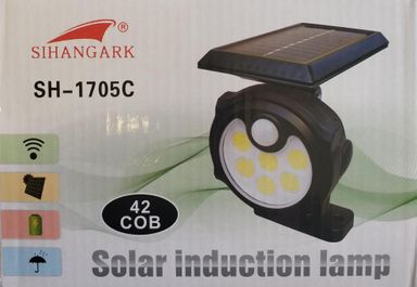 30 LED Solar Wall-Ground Induction light