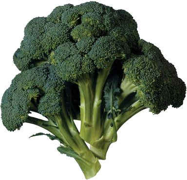 Broccoli