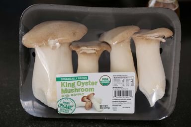 King Oyster Mushroom